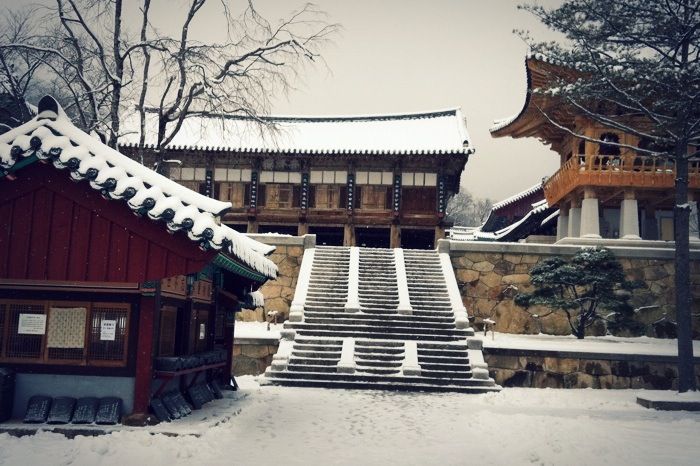 Photo 12월 31, 10 00 38 오후.jpg