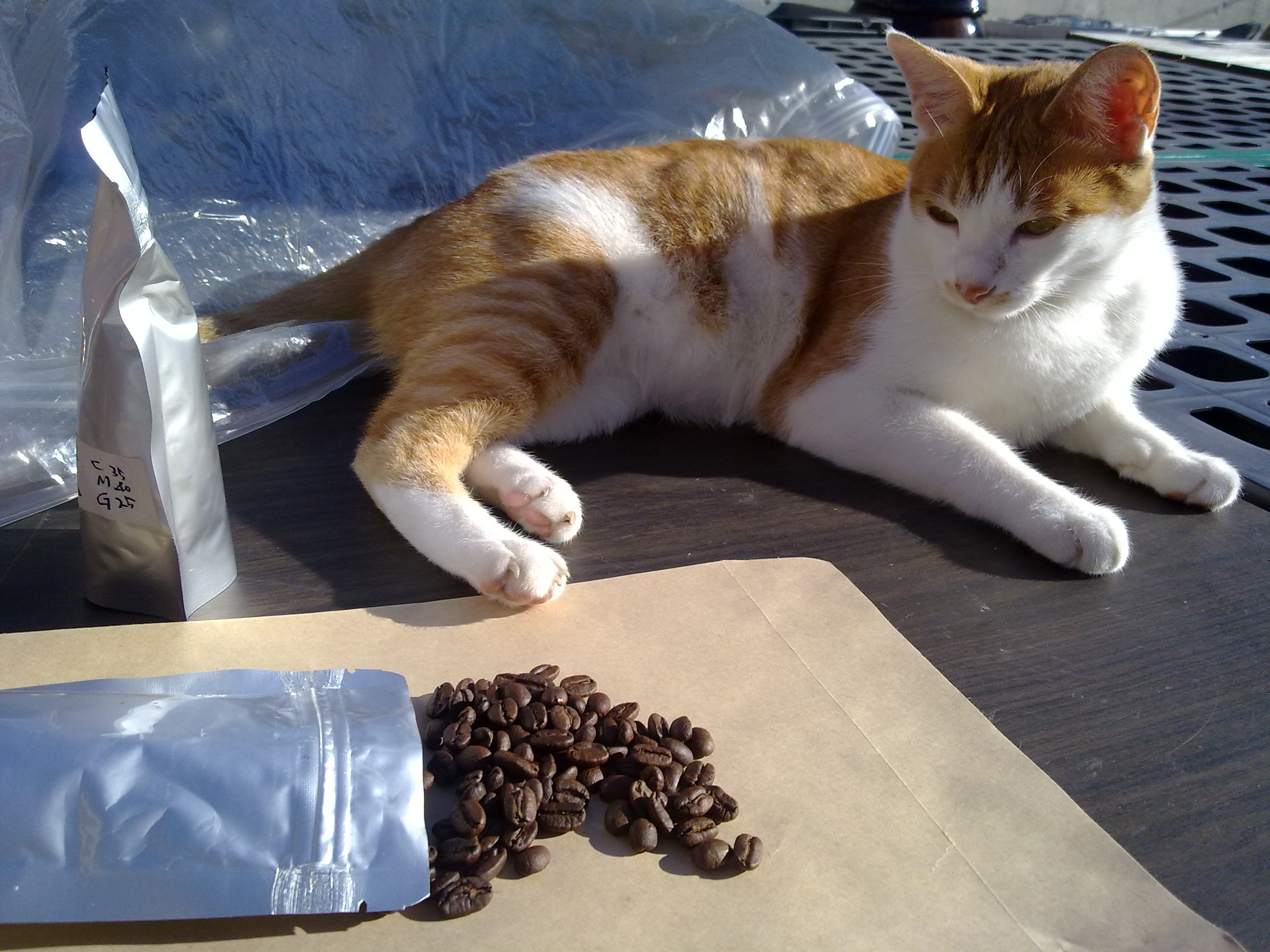 201009231386.jpg