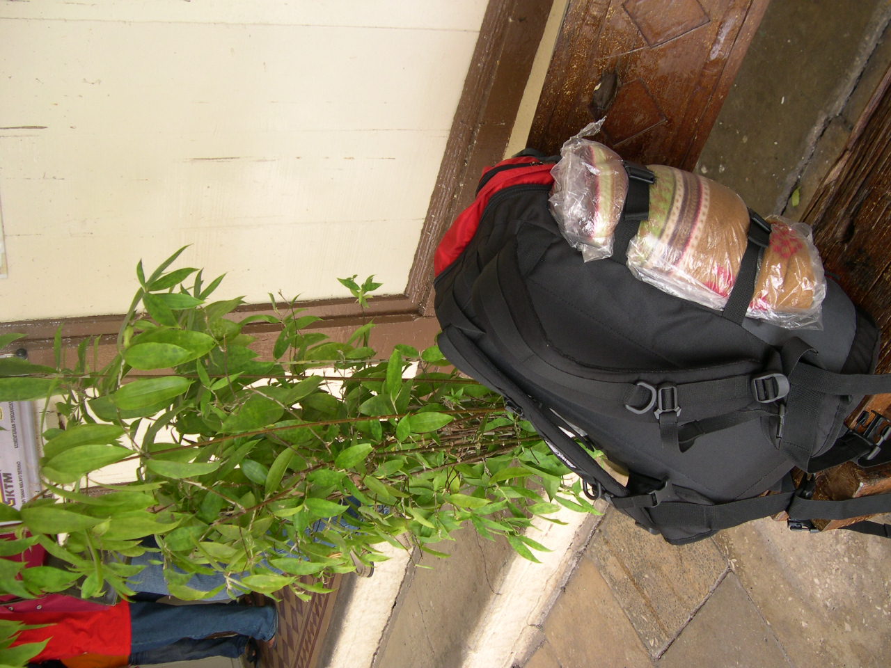 DSCN9230.JPG